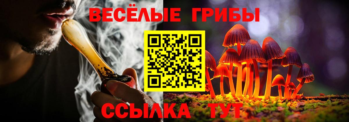 Псилоцибиновые грибы Magic Shrooms  Вход с VPN  Галлюциногенные грибы прущие грибы  дарнет шоп  Орёл 